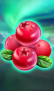 Winterberries